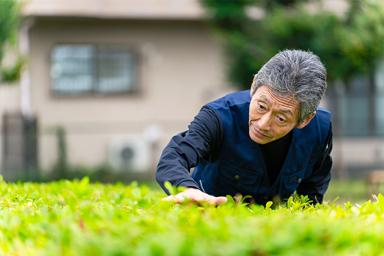 一級造園技能士のプロ集団