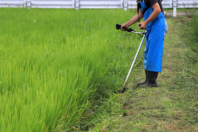 除草、草刈り（お庭・空き地・田んぼ・山林などの草刈り）